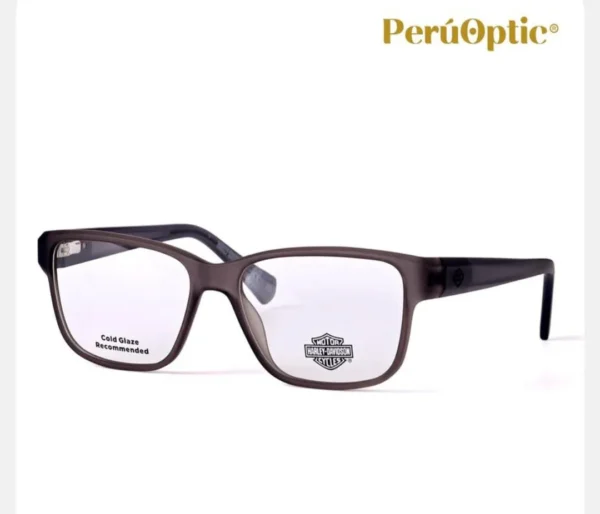 MONTURA HARLEY DAVIDSON HD0981 020