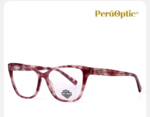 montura (16) MONTURA HARLEY DAVIDSON HD0573 071