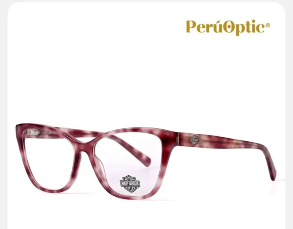 MONTURA HARLEY DAVIDSON HD0573 071