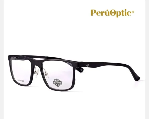 MONTURA HARLEY DAVIDSON HD9026 009